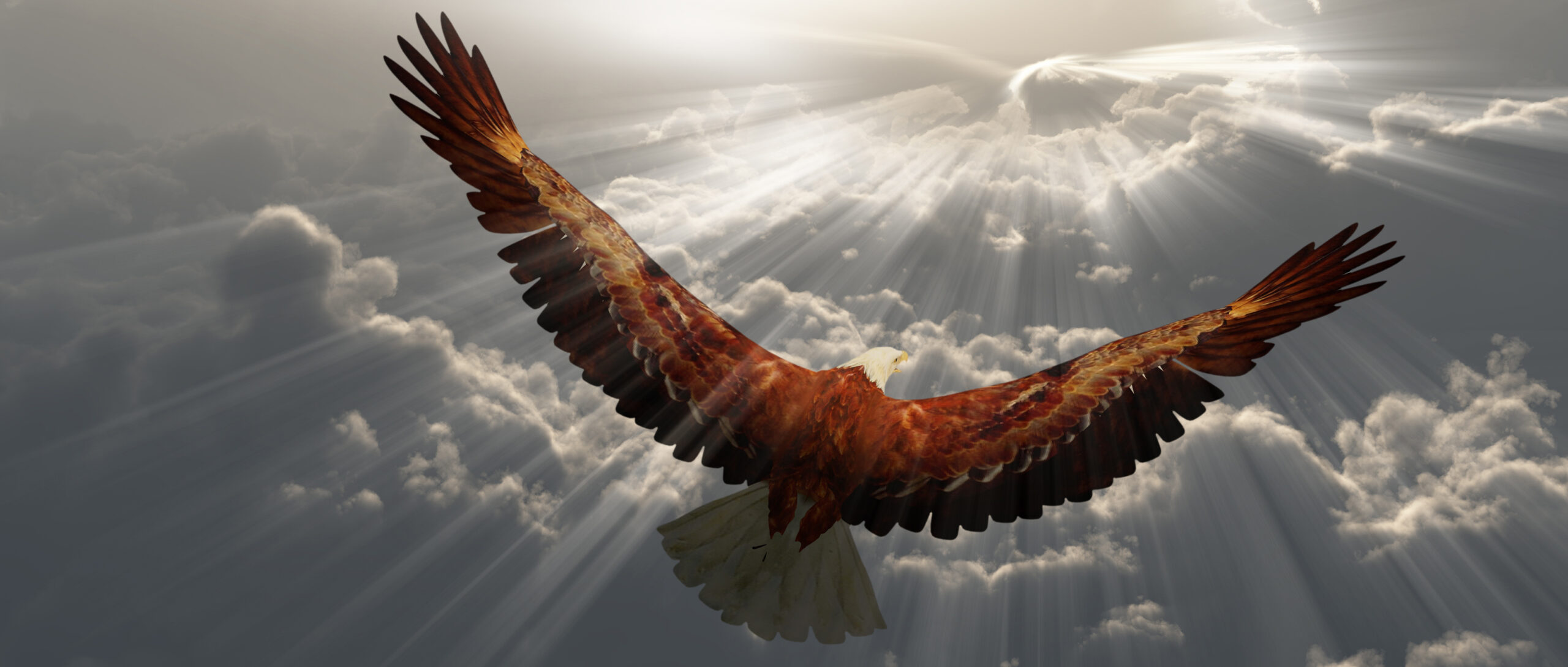 Klarheit finden – Adler über den Wolken